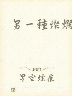 另一种灿烂生活