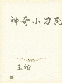 神奇小刁民