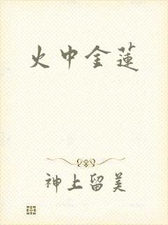 火中金莲封面