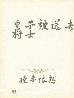 皇子被送去犒劳将士