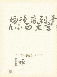 婚后脔到青梅哭h小白兔宫交h