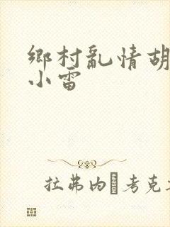 《乡村乱情胡秀英小雷》小说封面