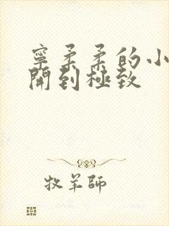 宁柔柔的小泬撑开到极致