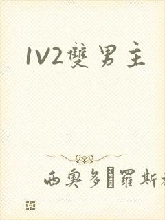 1V2双男主