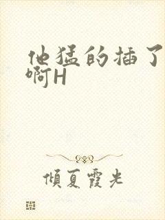 他猛的插了进去啊H