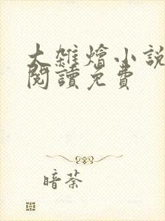 大杂烩小说全集阅读免费