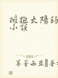 拥抱太阳的月亮小说