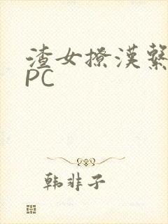 渣女撩汉系统NPC