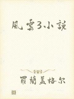 风云3小说
