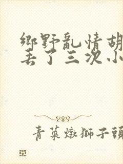 乡野乱情胡秀英丢了三次小说