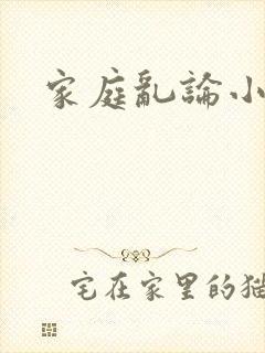 家庭乱论小说