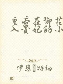 皇帝在御花园进入贵妃的小说