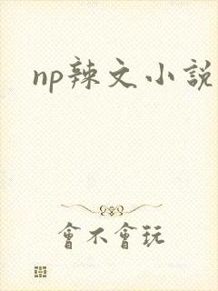 np辣文小说