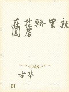 在花轿里就开始圆房