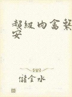 超级肉禽系统保安