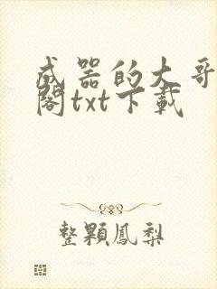 成器的大哥笔趣阁txt下载
