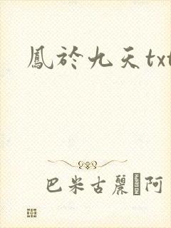 凤于九天txt