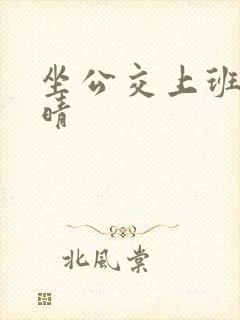 坐公交上班的苏晴