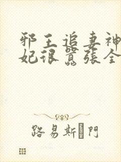 邪王追妻神医狂妃很嚣张全文免费