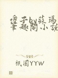 傻子by苏玛丽笔趣阁小说