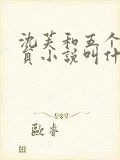 沈芙和五个消防员小说叫什么