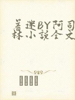 着迷BY阿司匹林小说全文免费阅读