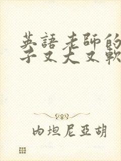 英语老师的小兔子又大又软