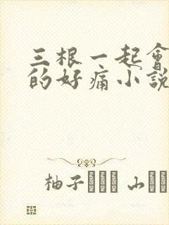 三根一起会坏掉的好痛小说