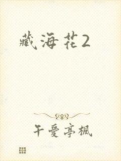 藏海花2