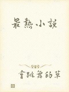 最热小说