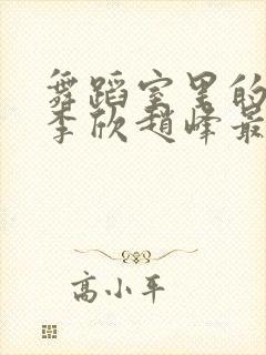 舞蹈室里的景色李欣赵峰最新章节