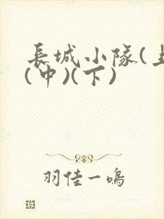 长城小队(上)(中)(下)