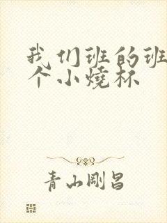 我们班的班花是个小烧杯