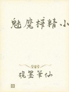 魅魔榨精小说