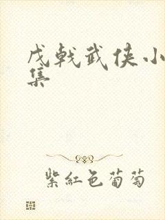 戊戟武侠小说全集