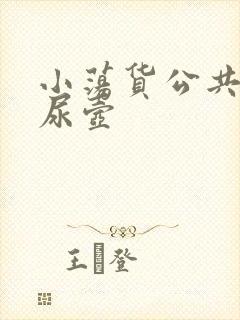 小荡货公共精厕尿壶