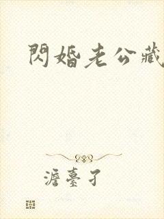 闪婚老公藏不住