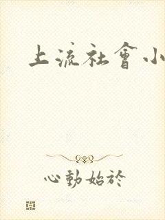 上流社会小说封面