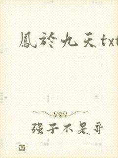 凤于九天txt