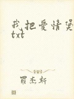 我把爱情煲成汤txt