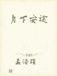 月下安途