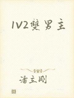 1V2双男主