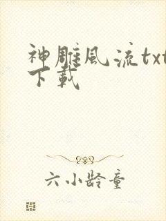 神雕风流txt下载
