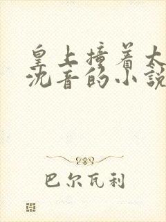 皇上撞着太子妃沈音的小说叫什么