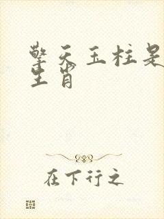 擎天玉柱是什么生肖