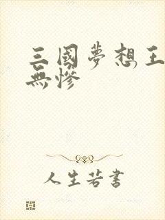 三国梦想王元姬无惨封面