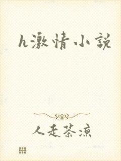 h激情小说封面