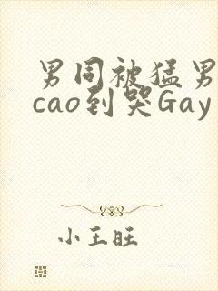 男同被猛男房东cao到哭Gay