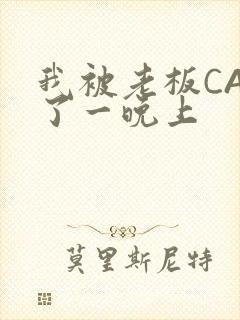 我被老板CAO了一晚上