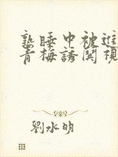 熟睡中被进了H青梅诱哄视频